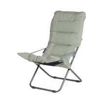 Fiesta Soft heleroheline/raam antratsiit